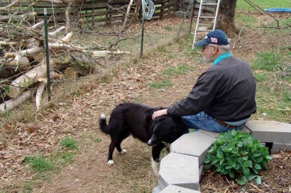 The Farmer with Toby, our Farm Collie. The Farmer with Toby, our Farm Collie.