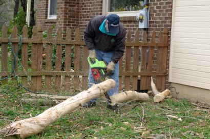 The Farmer cutting up a tree. The Farmer cutting up a tree.