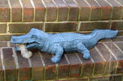 Small Gator At Large