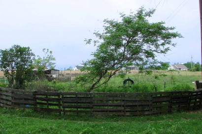 Enclosure around trumpet vine and lilac bush.