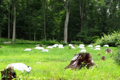 Flock Of Wooden Sheep at Stone House Museum