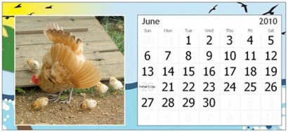June Page of 2010 Farm Calendar for Rural Ramblings June Page of 2010 Farm Calendar for Rural Ramblings