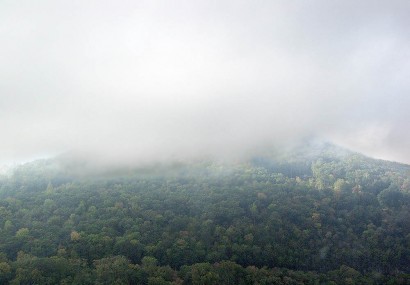 Fog at top of hill.