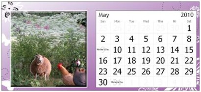 May Page for Rural Ramblings Critter Calendar for 2010 May Page for Rural Ramblings Critter Calendar for 2010