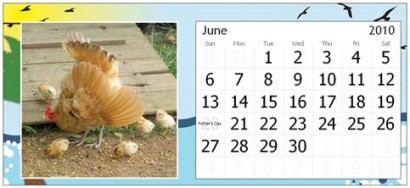 June Page for Rural Ramblings Critter Calendar for 2010 June Page for Rural Ramblings Critter Calendar for 2010