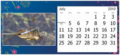 July Page for Rural Ramblings Critter Calendar for 2010 July Page for Rural Ramblings Critter Calendar for 2010