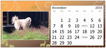 November Page for Rural Ramblings Critter Calendar for 2010 November Page for Rural Ramblings Critter Calendar for 2010