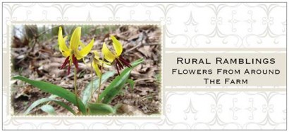 Cover for Rural Ramblings 2010 Floral Calendar