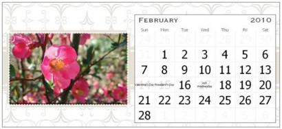 February Page for the Rural Ramblings 2010 Floral Calendar
