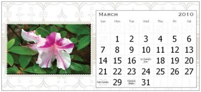 March Page for the Rural Ramblings 2010 Floral Calendar