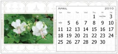 April Page for the Rural Ramblings 2010 Floral Calendar