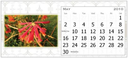 May Page for the Rural Ramblings 2010 Floral Calendar