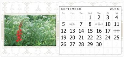 September Page of the Rural Ramblings Floral Calendar for 2010