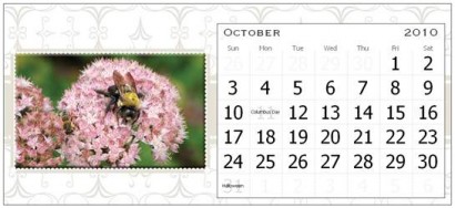 October Page of the Rural Ramblings Floral Calendar for 2010