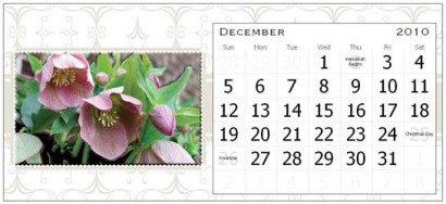 December Page of the Rural Ramblings Floral Calendar for 2010