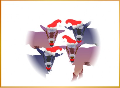 Have a goat for Christmas. Or maybe 4 of them!