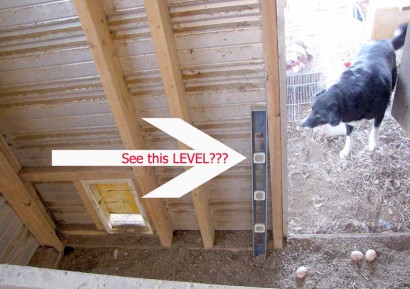 How fowl! There's a level in the poultry house.