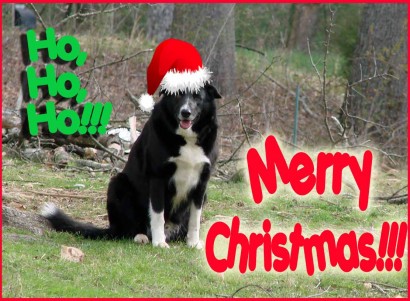 12-25-09_Toby_2234