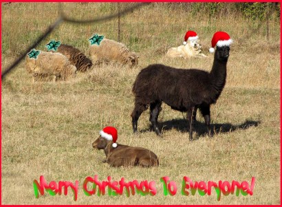 Merry Christmas Critters