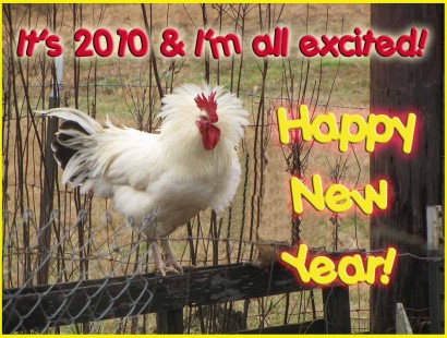 Happy New Year from Rural Ramblings!