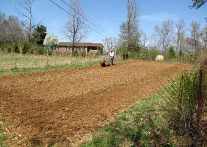 Freshly tilled dirt in garden.