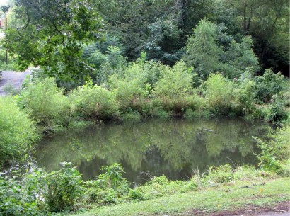 small pond