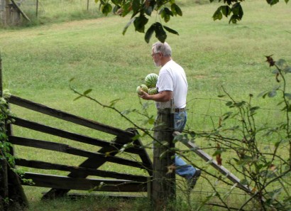 photo of man with watermelons