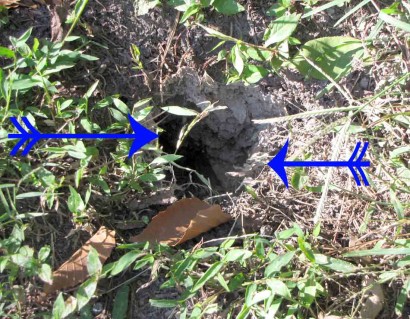Cavitation Hole picture of hole