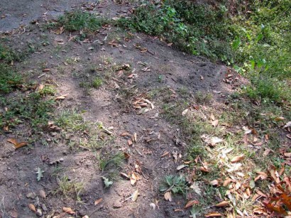 Covered Up Cavitation picture of dirt