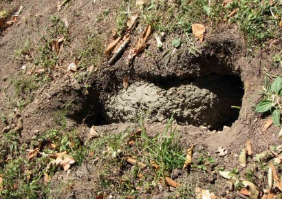 Concrete covering broken culvert pipe joint. picture of concrete fixing broken concrete pipe
