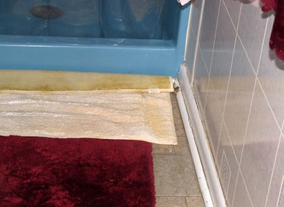 picture of frog in bathroom