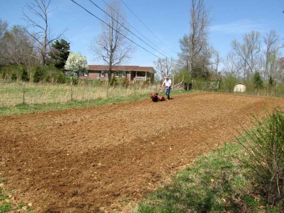 The Farmer tilling his garden. picture of man tilling garden