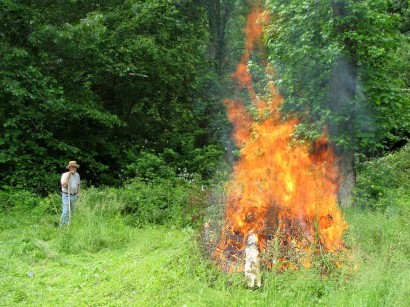 Firebug Farmer picture of man by fire