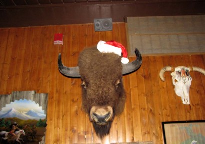 photo of mounted buffalo head with santa cap
